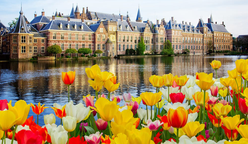 Mua Bảo hiểm du lịch Châu Âu xin visa Hà Lan